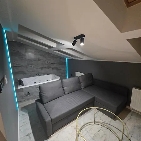 Centrum Jacuzzi Prywatny Parking Klimatyzacja 5 ラドム