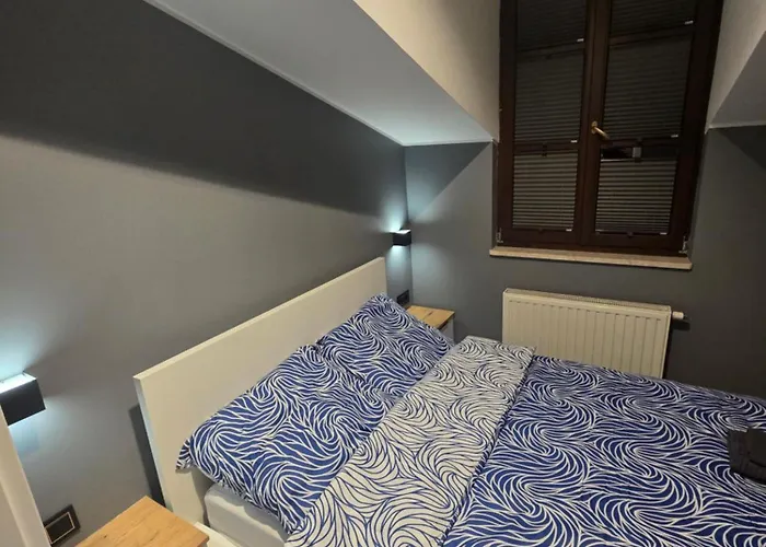 Centrum Jacuzzi Prywatny Parking Klimatyzacja 5